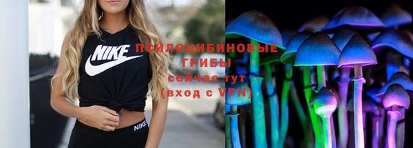 дживик Алзамай