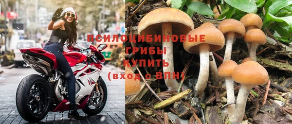 jwh Абаза
