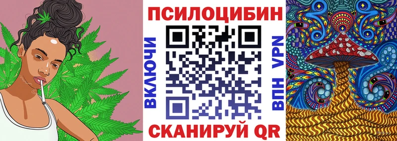 Галлюциногенные грибы Cubensis  Болгар 